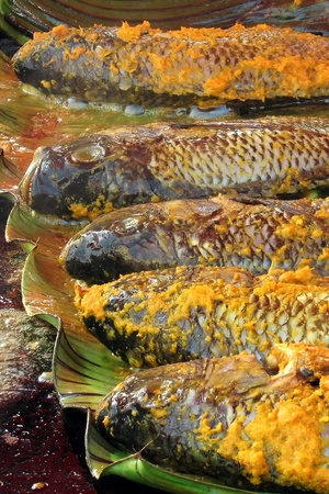 Hot grilled fish, blend in spices and layered in banana leafの写真素材