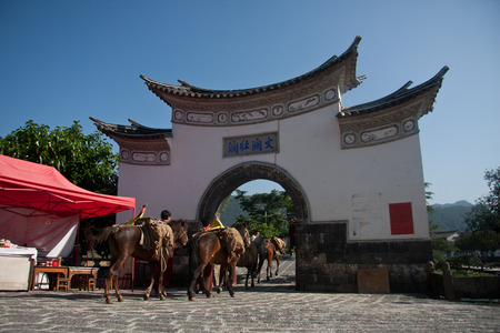 Life of caravan and horses in province, China.のeditorial素材