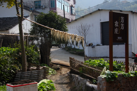 Scenery of Deqing County in Zhejiang Province with their famous long cabbage.
のeditorial素材