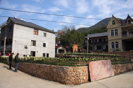 Scenery of Deqing County in Zhejiang Province with their famous long cabbage.のeditorial素材