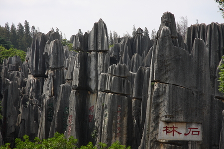 Stone Forest, the famous World Natural Heritage.のeditorial素材