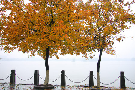 South Lake Scenic Area is a national scenic spots, national classic red tourism attractions. Spring...