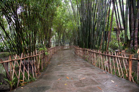 Scenery of Du Fu Thatched Cottage, Huanhuaxi River, Chengduのeditorial素材
