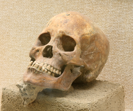 Human skull (Liangzhu Culture), unearthed in Nanxun, Huzhou collection in the museum.のeditorial素材