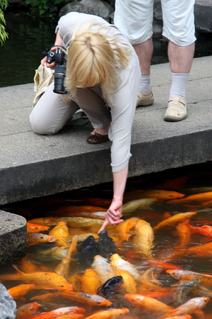 Foreign tourists to feed the fish. Shanghai Temple is a tourist paradise, is an important Taoist temples in Shanghai, is a shopper&#39;s paradise at home and abroad.のeditorial素材