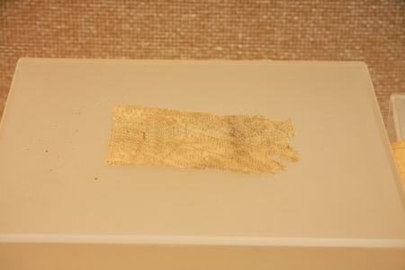 Floral Aya (Tang), a collection in Huzhou, Zhejiang Museum.のeditorial素材