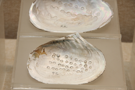 OYSTER (clear), collections in Huzhou, Zhejiang Museum.のeditorial素材