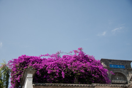 The town is located southwest of Tengchong county rolls, rolls ancestors ordered Cultivating far from Sichuan, Nanjing, Hubei and Hunan and other places, live and multiply for generations, dating back more than six centuries of history. Heshun Town has fuのeditorial素材