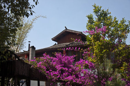 Yuquan Park is located in Tengchong County, West Yin Tong is one of the \\\\ \\\ "second scene \\\\\\\" ancient vault. Akin Tao Yuanming \\\\ \\のeditorial素材