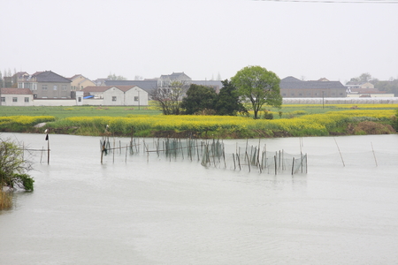 spring sceneryの写真素材
