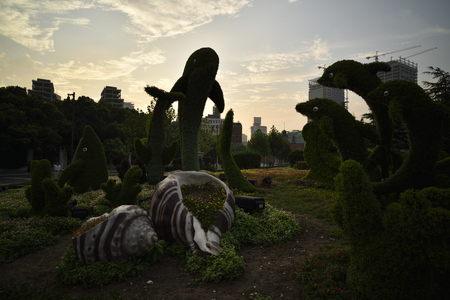 Evening park viewのeditorial素材