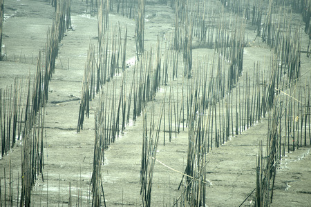 xiapu sceneryの写真素材