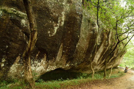 Landscape view of a scenic areaのeditorial素材