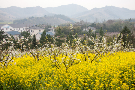 Landscape view of a villageの写真素材