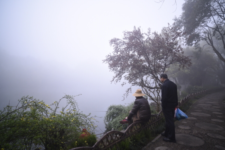Fog day fishingの写真素材