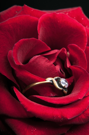 Closeup photo of a vivid red rose with an old family jewelryの写真素材