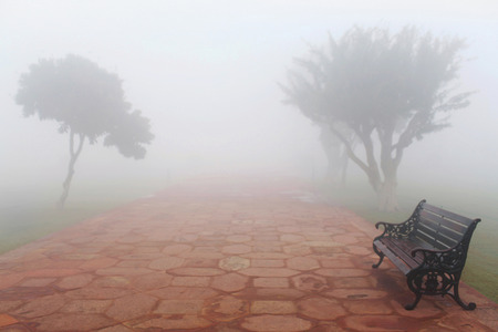 Lone bench over mist in the park early morningの写真素材