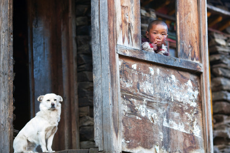 LHO, MANASLU CONSERVATION AREA, NEPAL - NOVEMBER 29: Tibetan boy Lapsang, nine, with white dog poses for a photo at him home on November 29, 2009 in Lho village, Tsum valley, Nepalのeditorial素材