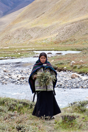 DHO TARAP, NEPAL - SEPTEMBER 11: An unidentified Tibetan girl in national clothes with offering flowers posing for the photo during Full Moon Festival on September 11, 2011 in Dho Tarap Village, Dolpo district, Nepalのeditorial素材