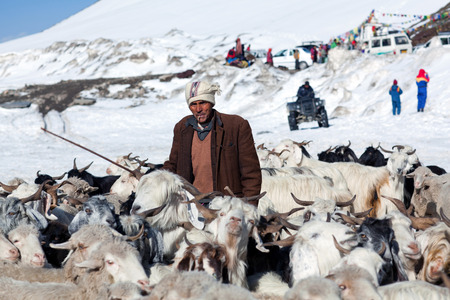 ROHTANG LA, INDIA - JUNE 9, 2012: Drower with goats walking across Rohtang La Pass in the Indian Himalayas, Jammu and Kashmir, Indiaのeditorial素材