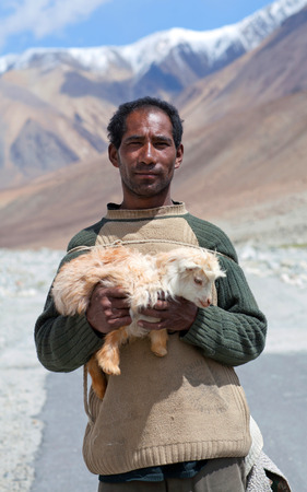 LADAKH, INDIA - JUNE 15: Changpa nomad with angora goat walking on the road to Spangmik village on June 15, 2012 in Ladakh, Jammu and Kashmir State, North Indiaのeditorial素材