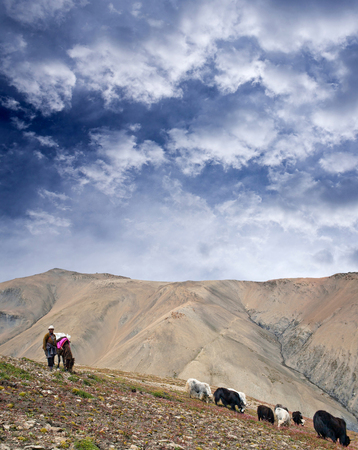 DOLPO, NEPAL - SEPTEMBER 5, 2011: Tibetan nomad poses for a photo at Shey La pass in Shey Phoksundo National Park in the Nepal Himalayaのeditorial素材