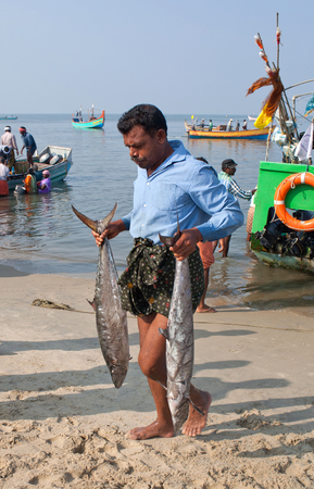 ALLEPPEY, INDIA - NOVEMBER 7, 2016: Indian fishermen unload the fish from the his boat in Kerala stateのeditorial素材