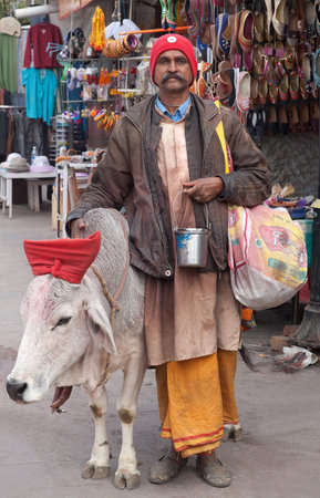PUSHKAR, INDIA - JANUARY 5, 2019: Sadhu (Holy man) with cow seeking alms on the street. Pushkar is a sacred place of the Hindus in Rajasthan state.のeditorial素材
