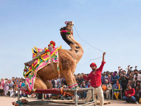 BIKANER, INDIA - JANUARY 12, 2019: Dromedary camel dancing during Camel festival in Rajasthan stateのeditorial素材