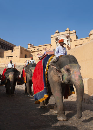 JAIPUR, RAJASTHAN, INDIA - JANUARY 14, 2019: Indian men riding on elephant in Amber fort, Rajasthan state. Elephant rides are popular tourist attraction in Amber Fortのeditorial素材