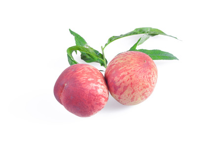 Peachesの写真素材