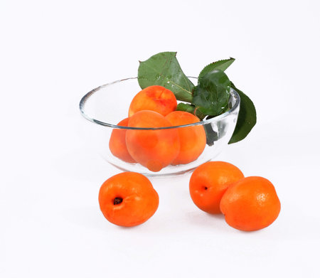 Apricotの写真素材