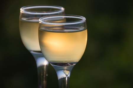 Two glasses of white wine on a green backgroundの写真素材
