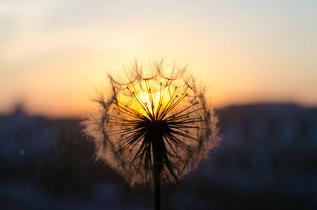 Shenyang West Canyon Parkの写真素材