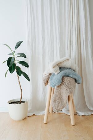 Three unfolded multi-colored knitted sweaters lie on a wooden stepping stool in front of a white curtain next to a big potted plant. Laundry day.の写真素材