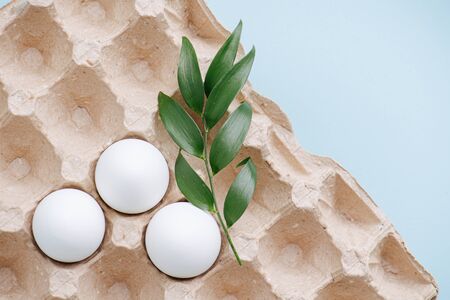 Three white chicken eggs in a cardboard case and a plant branch. Top view. Over blue surfaceの写真素材