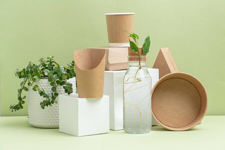 Eco-friendly disposable utensils and cutlery made of bamboo wood and paper on a green background. The scene is decorated with a sprout in a glass bottle and succulent planter in a vaseの写真素材
