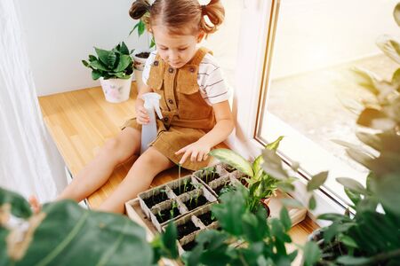 Happy cheerful little girl in beige overalls dress sitting on a windowsill, touching seedlings, holding spray with water.の写真素材