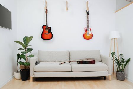 Area in the living room reserved for recreation. Sofa, guitars and TV. Potted plants by each side. All aranged for personal comfort.の写真素材