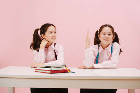 Beautiful little twin schoolgirls sitting behind schooldesk. Frontal view. Over pink background, studio shot. One of them enthusiastically raising her hand, second one is curious.の写真素材