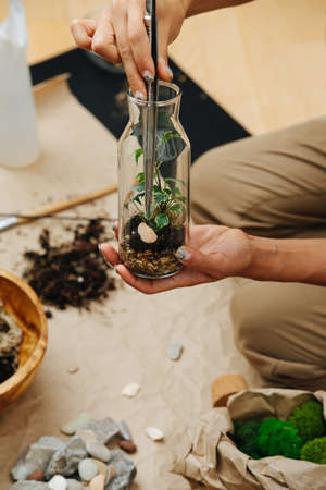Woman in living room creating composition around plant inside glass bottle, putting tiny stone, using pincers. Cropped, no head, close up.の写真素材