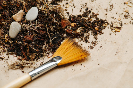 Brush, soil, roots and pebbles close up on a floor.の写真素材