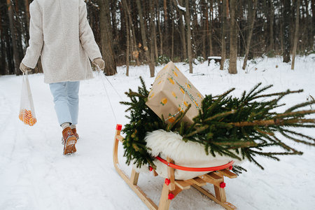Woman walking away in a winter forest, pulling sleigh with christmas goods.