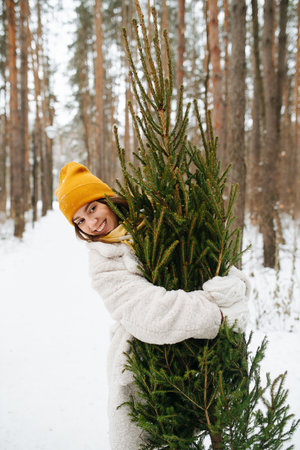 Smiling young woman hugging fir tree from behind in a snowy winter forestの写真素材