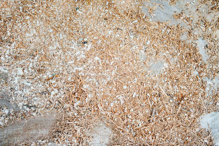 Old and fresh wood shavings spread on a concrete surface. High angleの写真素材