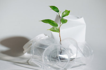 Tiny tree seedling in between crumpled plastic cup. Plastic pollution conceptの写真素材