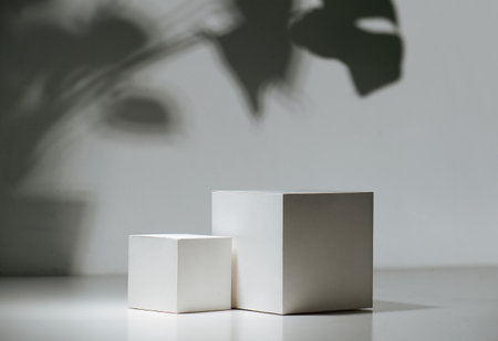 Composition of two white cubes over white wall with a shadow of big leavesの写真素材