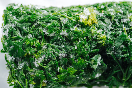 Close up image of frozen parsley green briquette covered with tiny ice crystals.の写真素材