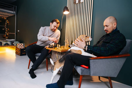 Serious middle aged men gathered for a game of chess at home. One of them playing with a dog....