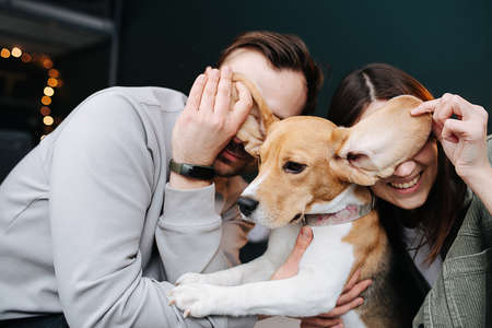 Funny couple and their favorite doggie posing for a photo. They are covering their eyes with dog's ears.の写真素材